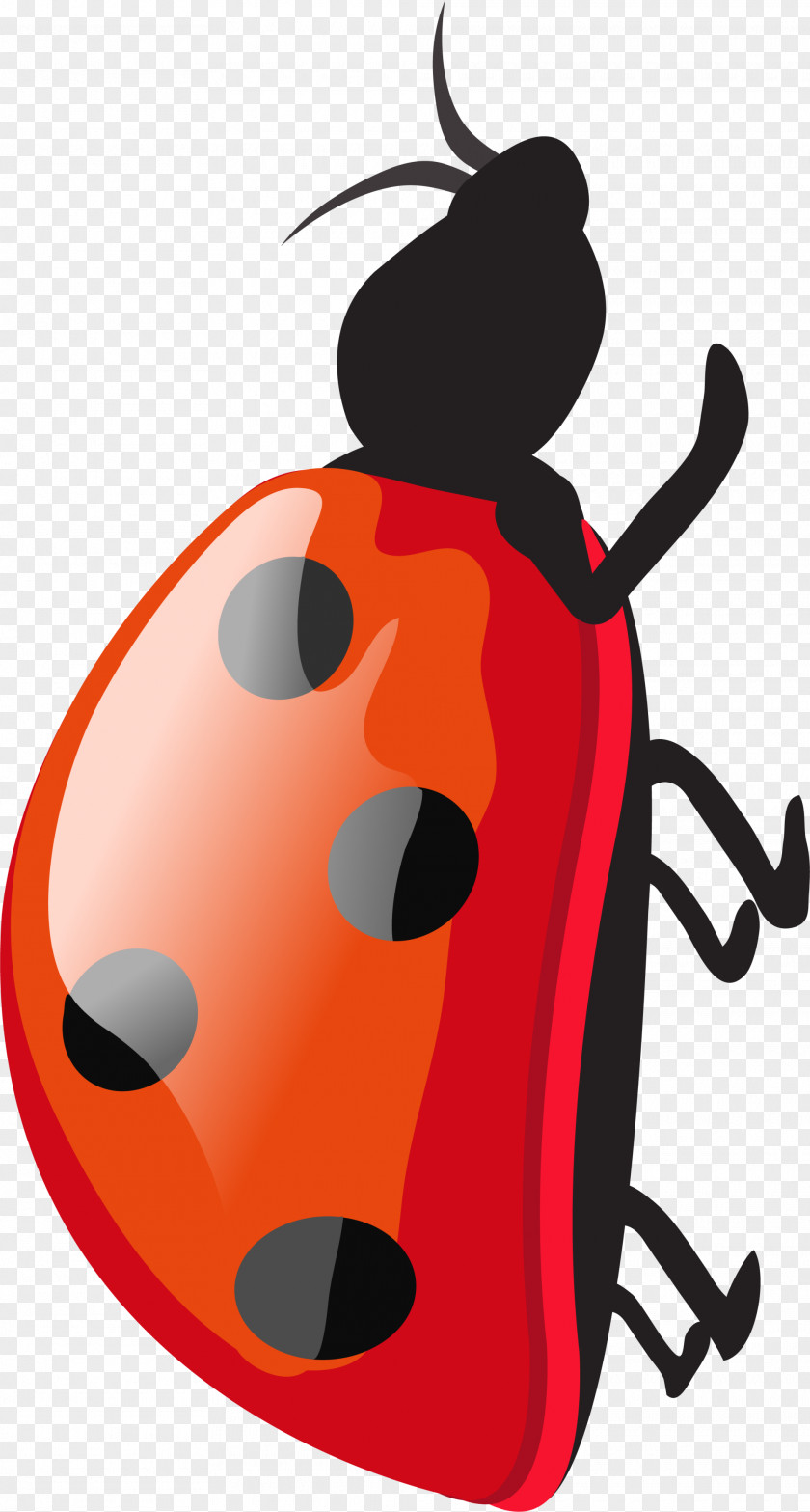 Red Ladybug Ladybird Cartoon PNG