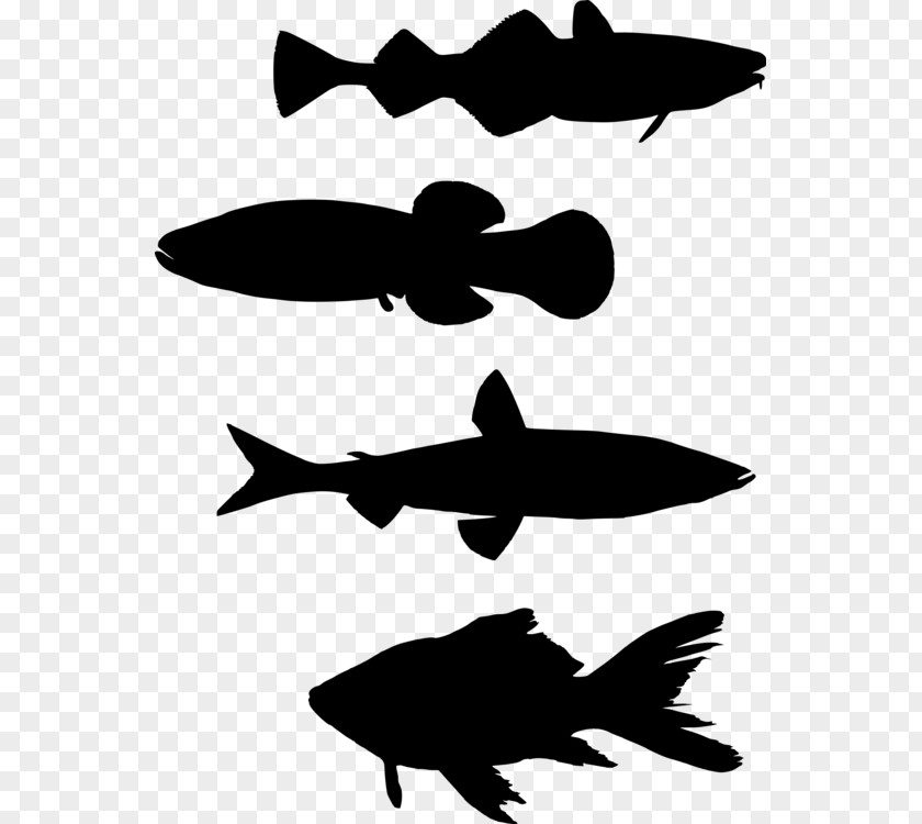 Anguilla Day Shoal Bay Clip Art Shoaling And Schooling Silhouette Fish PNG