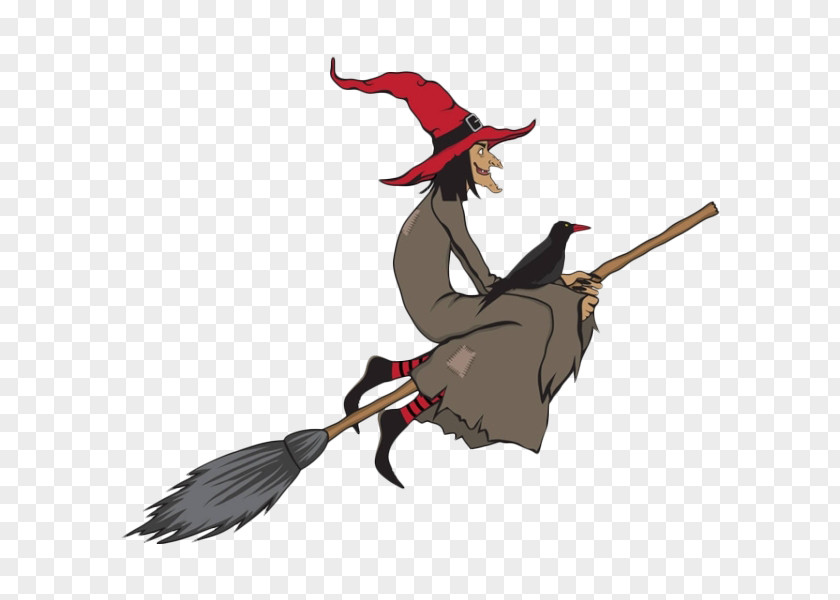 Cartoon Old Witches And Crows Broom Witchcraft Stock Illustration PNG