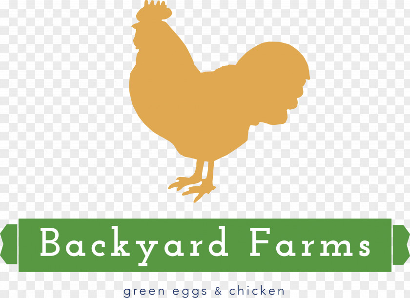 Chicken Rooster Logo Farm Livestock PNG
