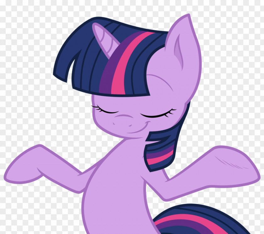 Deal With It Pony Ash Ketchum Rainbow Dash Twilight Sparkle Derpy Hooves PNG