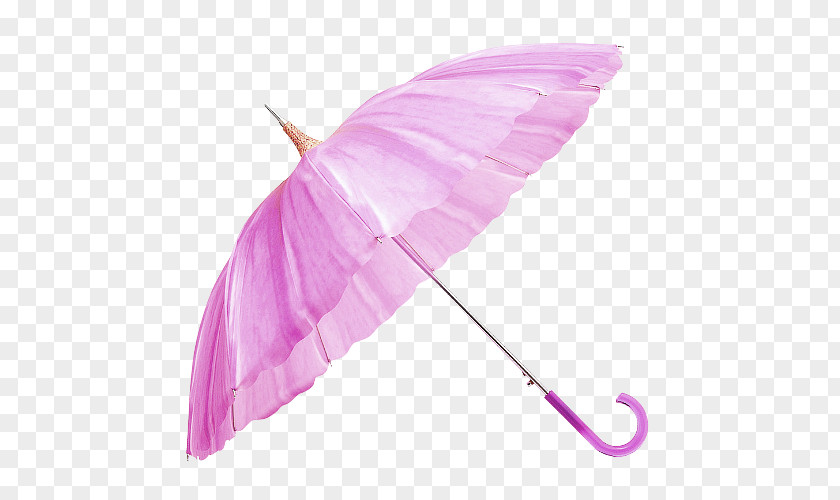 Purple Fresh Umbrella Petal Decorative Pattern Pink Fashion PNG