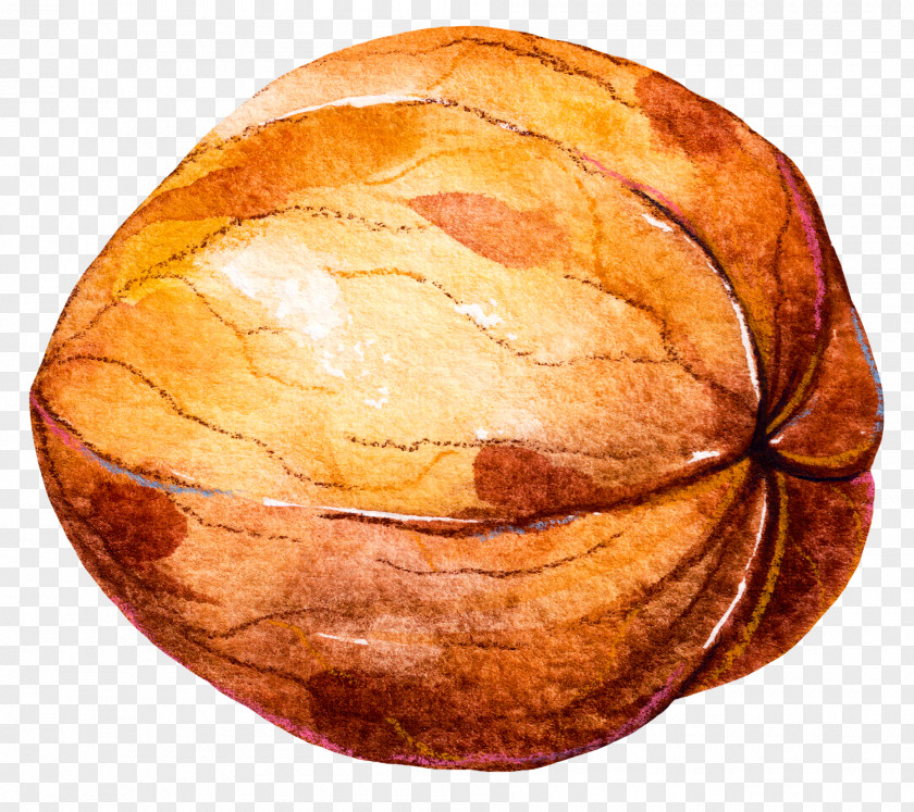 Walnut Vegetable Icon PNG