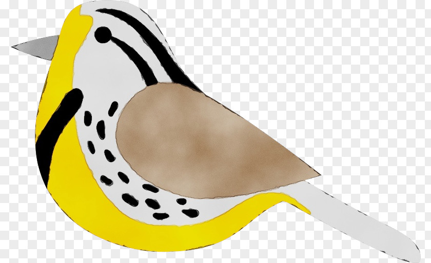 Birds Beak Yellow Pattern Science PNG