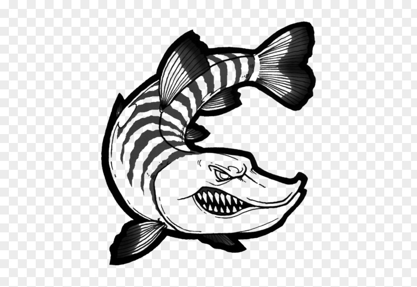 Design Northern Pike Drawing Recreational Fishing PNG