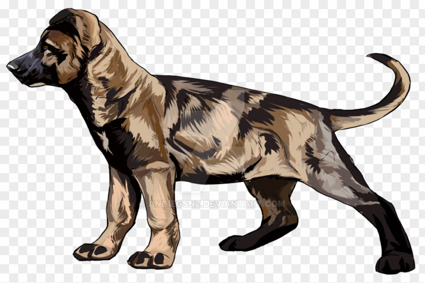 Dog Breed Crossbreed PNG
