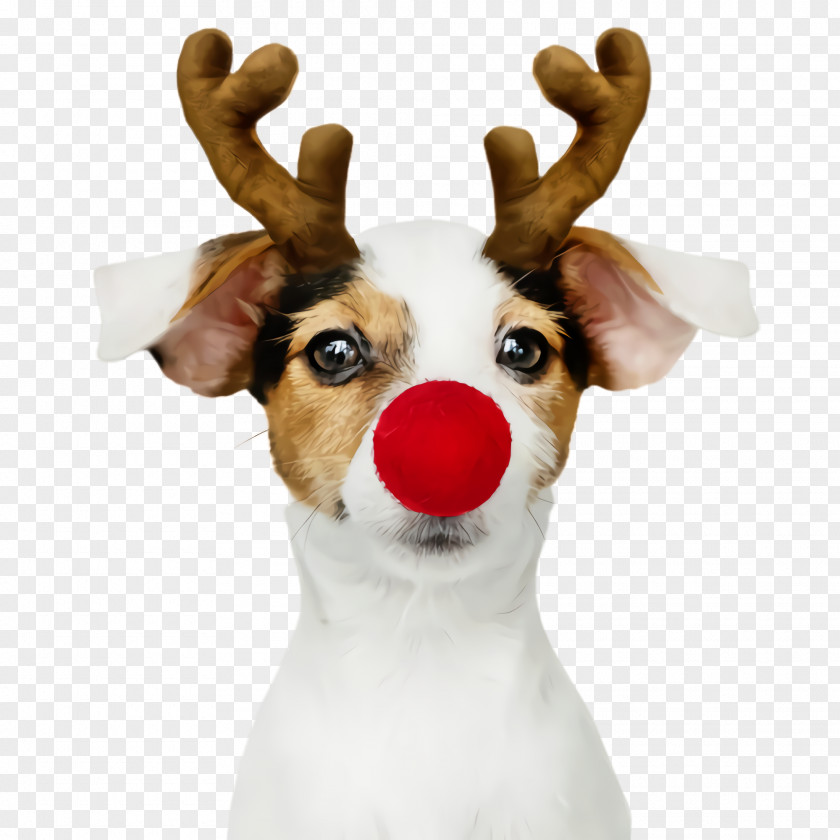 Fawn Costume Cute Dog PNG