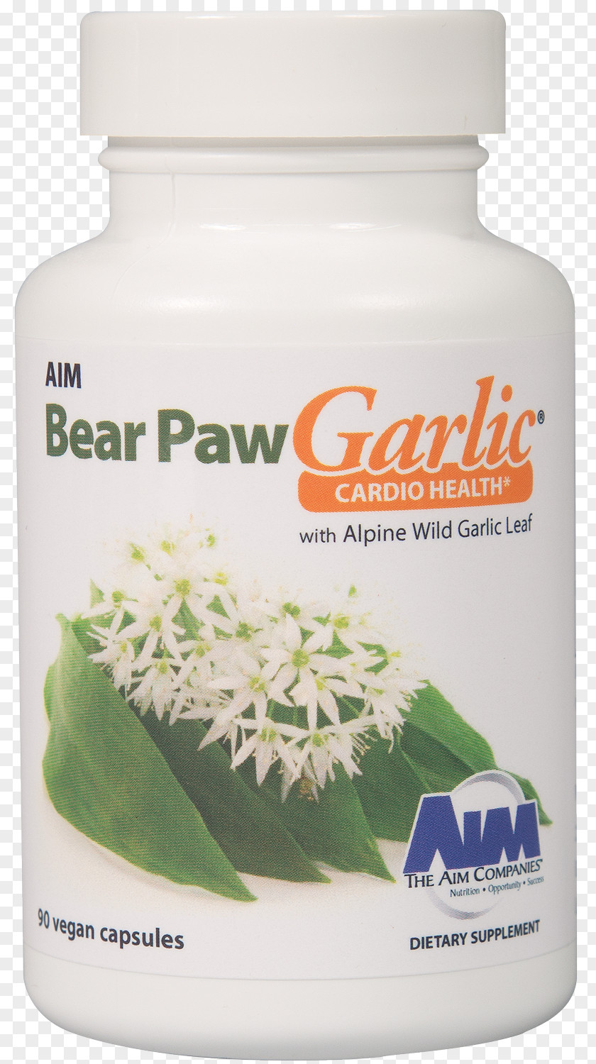 Garlic Bear Paw Ramsons Health PNG