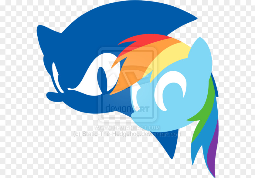 Ku Klux Klan Symbol Sonic Dash Rainbow The Hedgehog 3 Pinkie Pie & Knuckles PNG