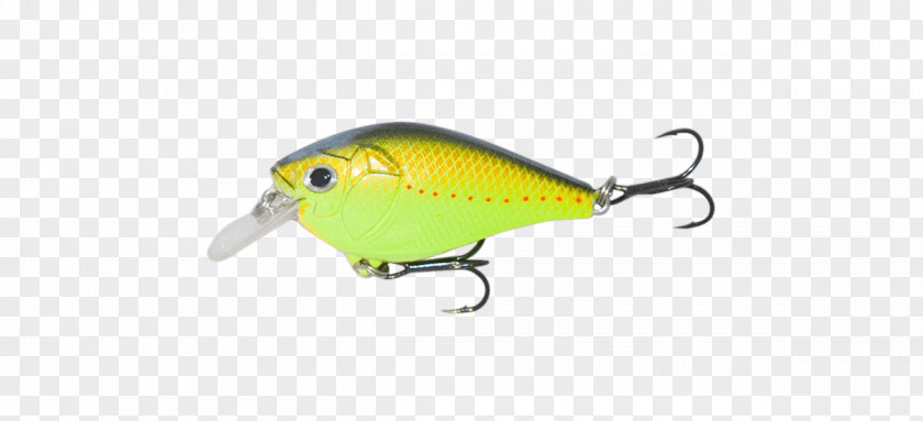 Perch Copper Trophy Technology Fish Bird PNG