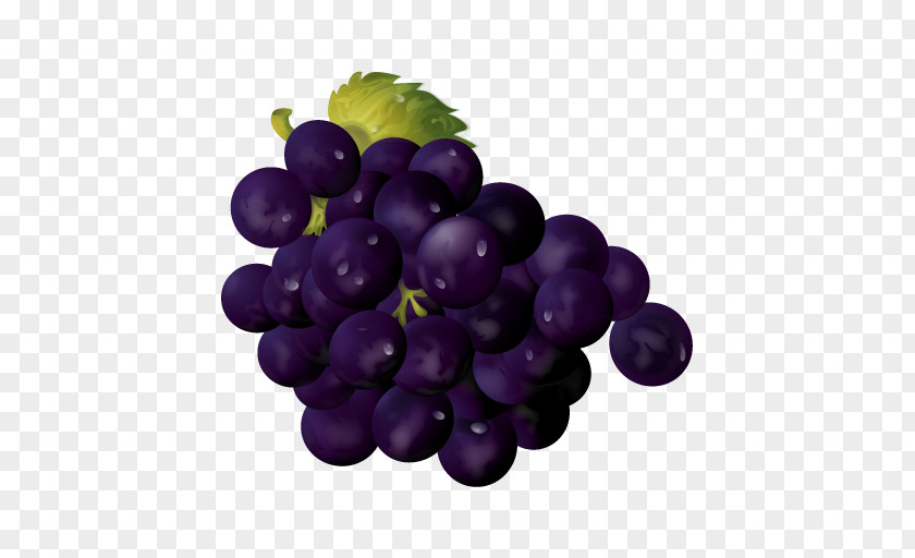 Fruit Icon Vector Graphics Grape Jam PNG