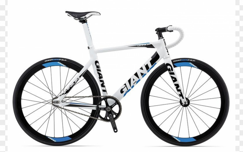 Bicycle Giant Bicycles Omnium Cycling Road PNG