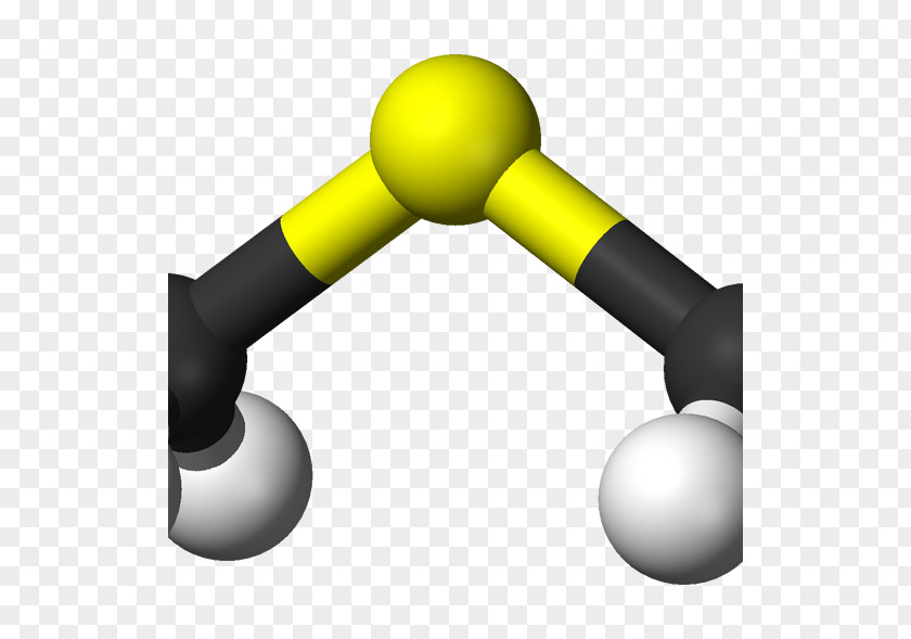 Dimethyl Sulfide Thioether Organosulfur Compounds Methyl Group PNG
