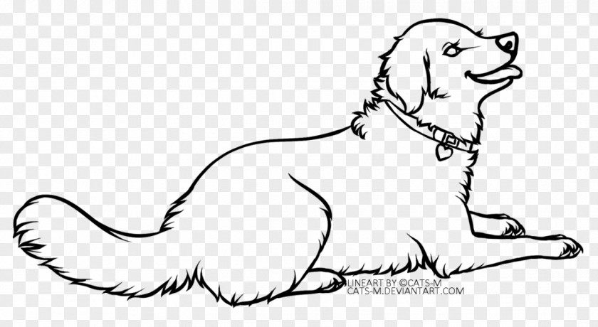 Puppy Whiskers Dog Breed Cat PNG