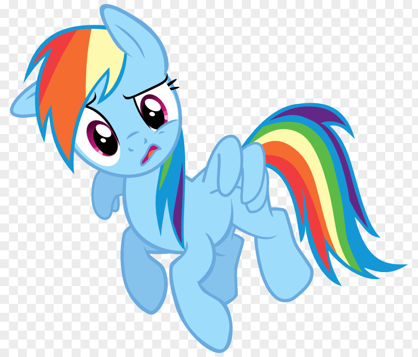 Rainbow Fash Dash Pinkie Pie Applejack Rarity Twilight Sparkle PNG