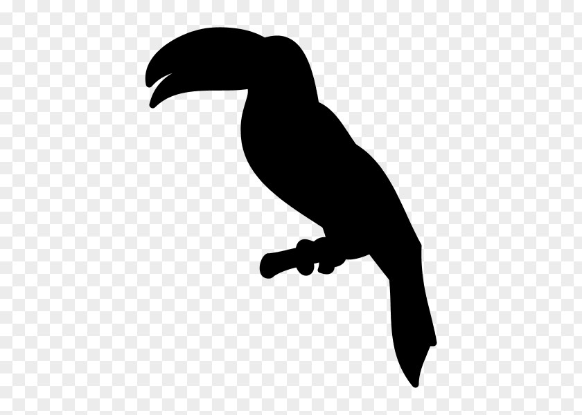 Silhouette Beak Fauna H&M Clip Art PNG