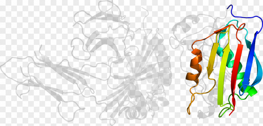 Design Graphic Drawing Clip Art PNG