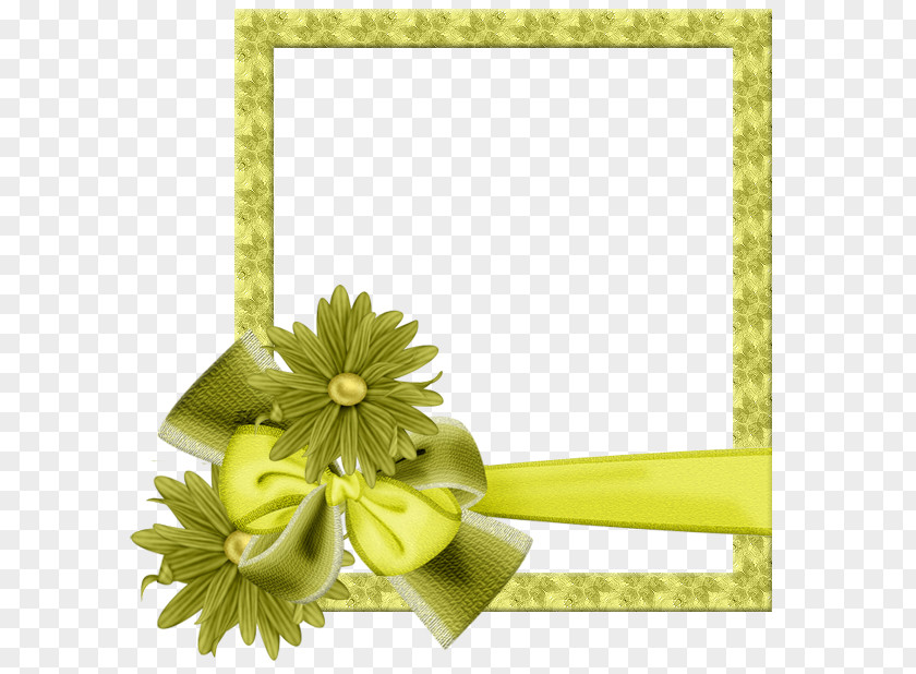 Flower Cut Flowers Photography Picture Frames Floral Design PNG