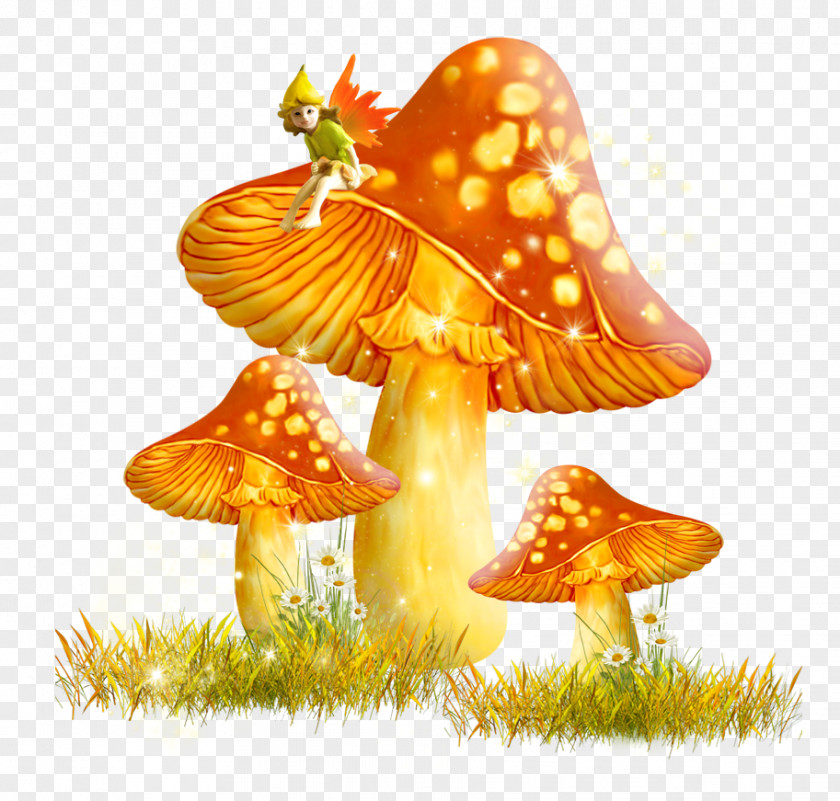 Golden Mushroom Fungus Clip Art PNG