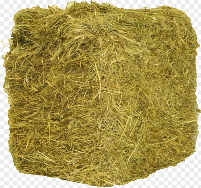 Hay Straw Baler Agriculture Cattle PNG
