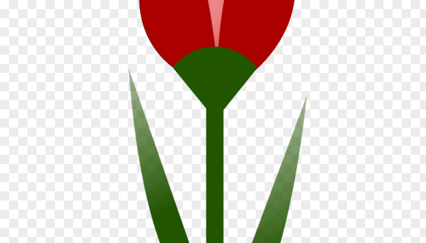 Labradorplat Clip Art Tulip Free Content Logo Flowering Plant PNG