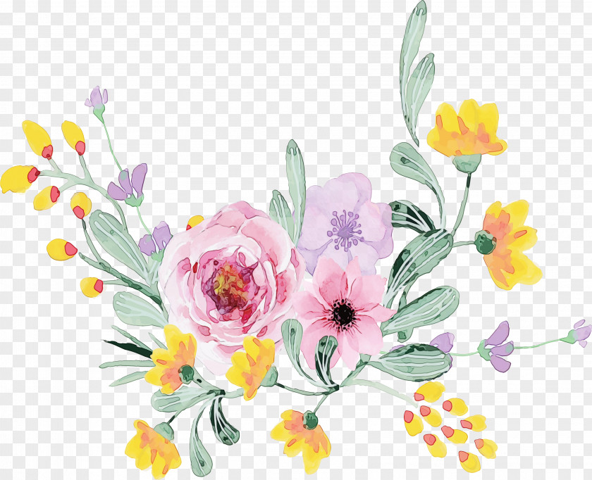 Spring Wildflower Floral Design PNG