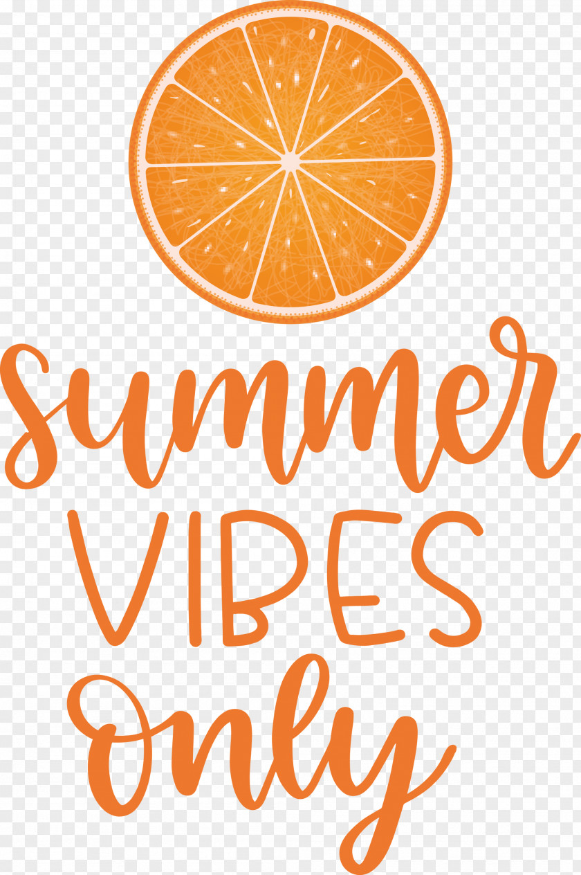 Summer Vibes Only PNG