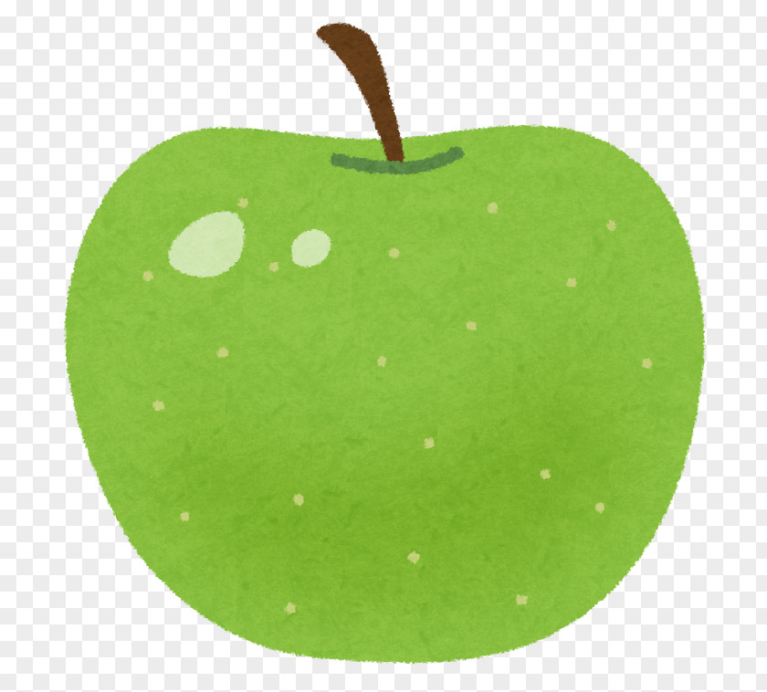 V K Sasikala Granny Smith PNG