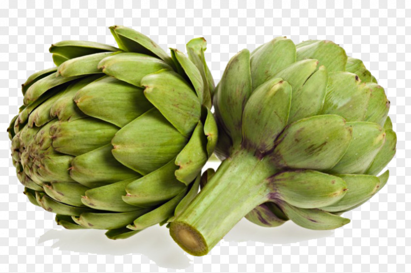 Vegetable Artichoke Food PNG