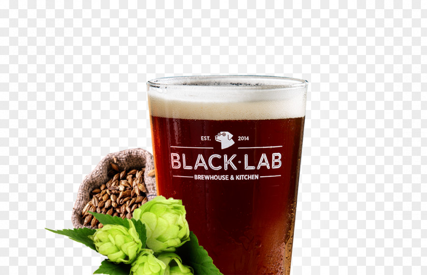 Beer Wheat Ale Lager Pint Glass PNG
