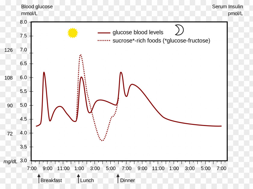 Blood Glucose Sugar Diabetes Mellitus Insulin Transporter PNG