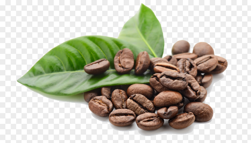 Coffee Single-origin Cafe Espresso Bean PNG