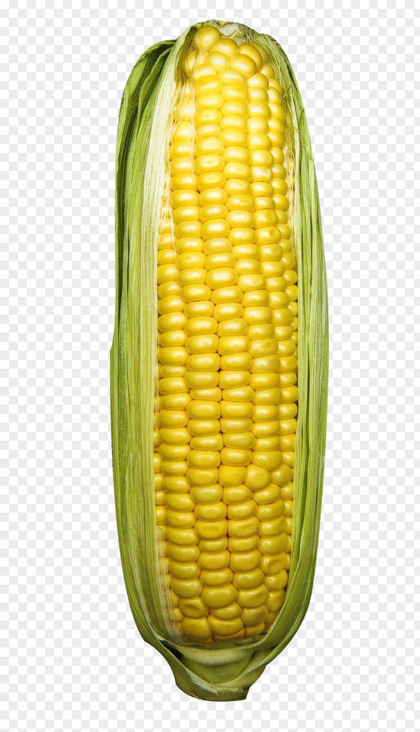 Corn On The Cob Kernel Sweet Commodity Fruit PNG