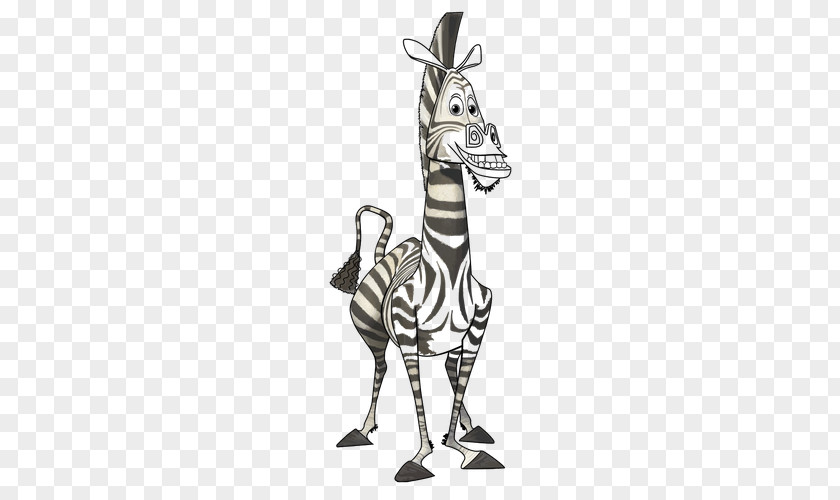 Giraffe Marty Mort Madagascar Zebra PNG
