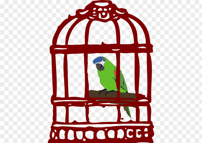 Matter Cliparts Parrot Birdcage Cartoon Clip Art PNG