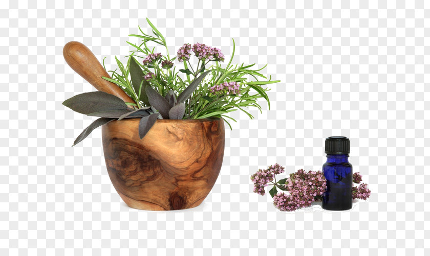 Oil Herb Distillation Skin Care PNG