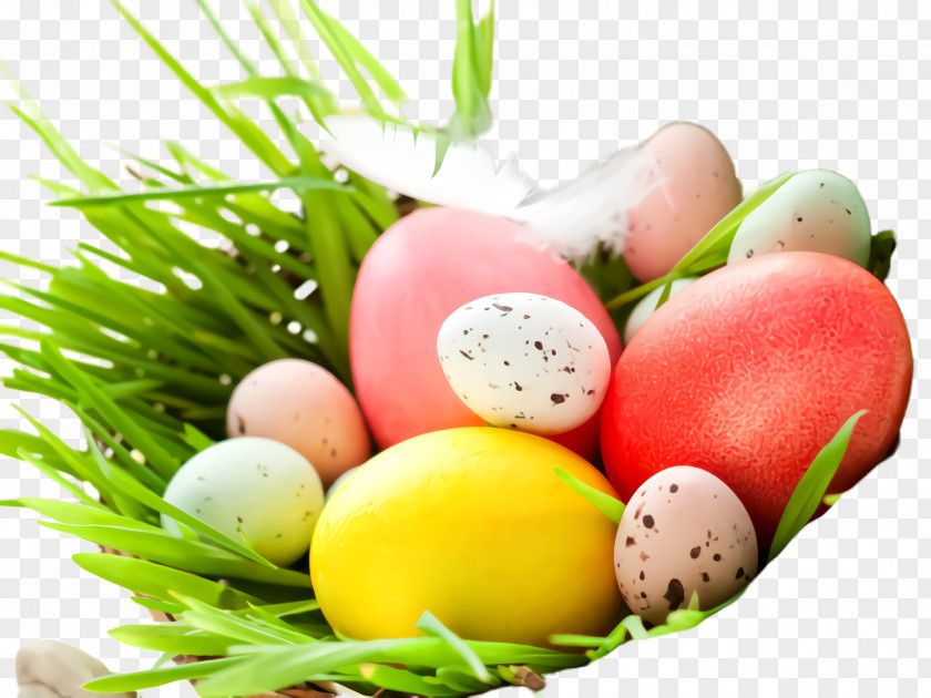 Plant Grass Easter Egg PNG