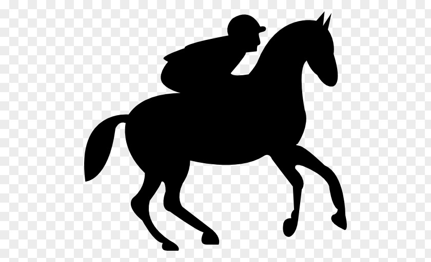 Running Horses Horse Equestrian Jockey Stallion Clip Art PNG