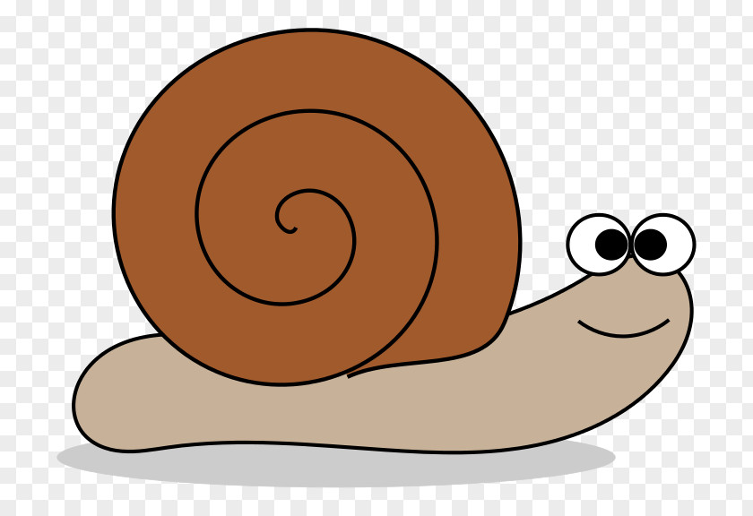Snail Clip Art PNG