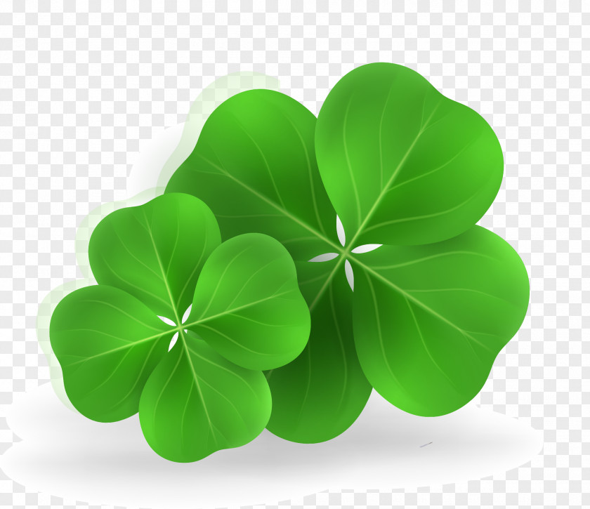 Vector Hand Painted Clover Four-leaf PNG