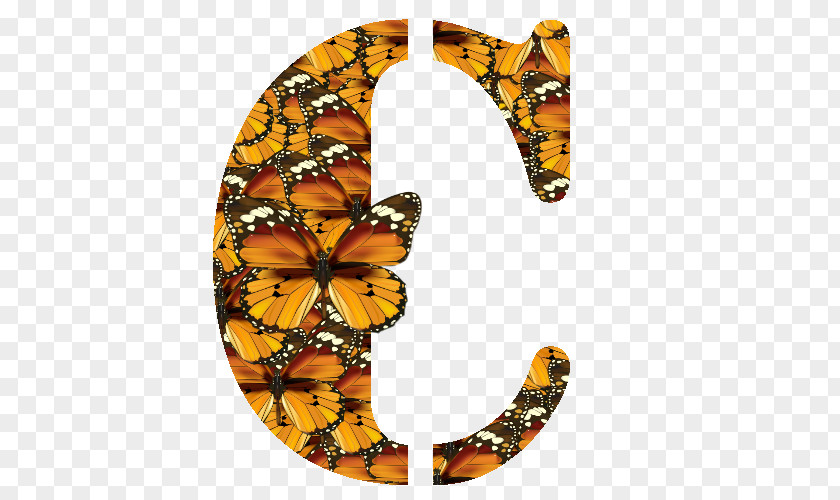 Zy Monarch Butterfly Brush-footed Butterflies Wall Decal PNG