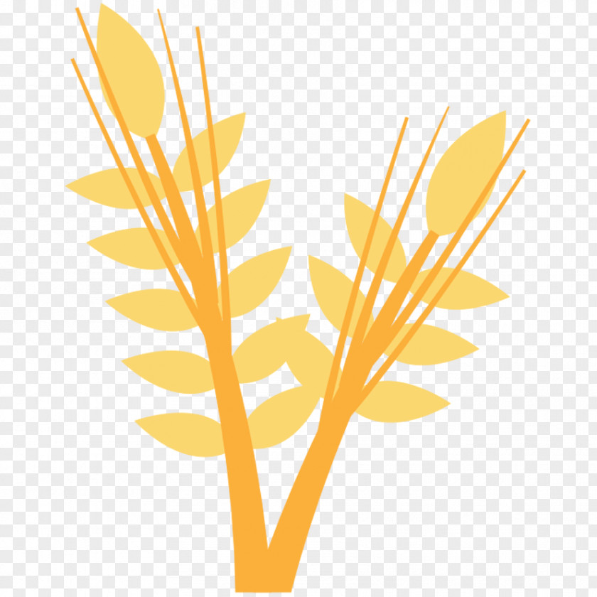 Arts Wheat Illustration PNG