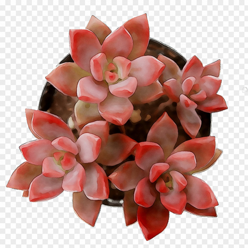 Cut Flowers Pink M RTV PNG