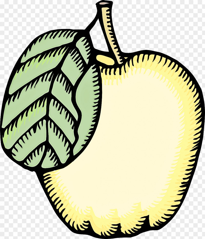 Fruit Plant PNG