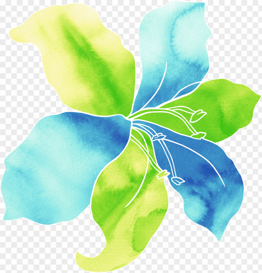 Lily Blooming Blue Shading Background Watercolor Painting Download PNG