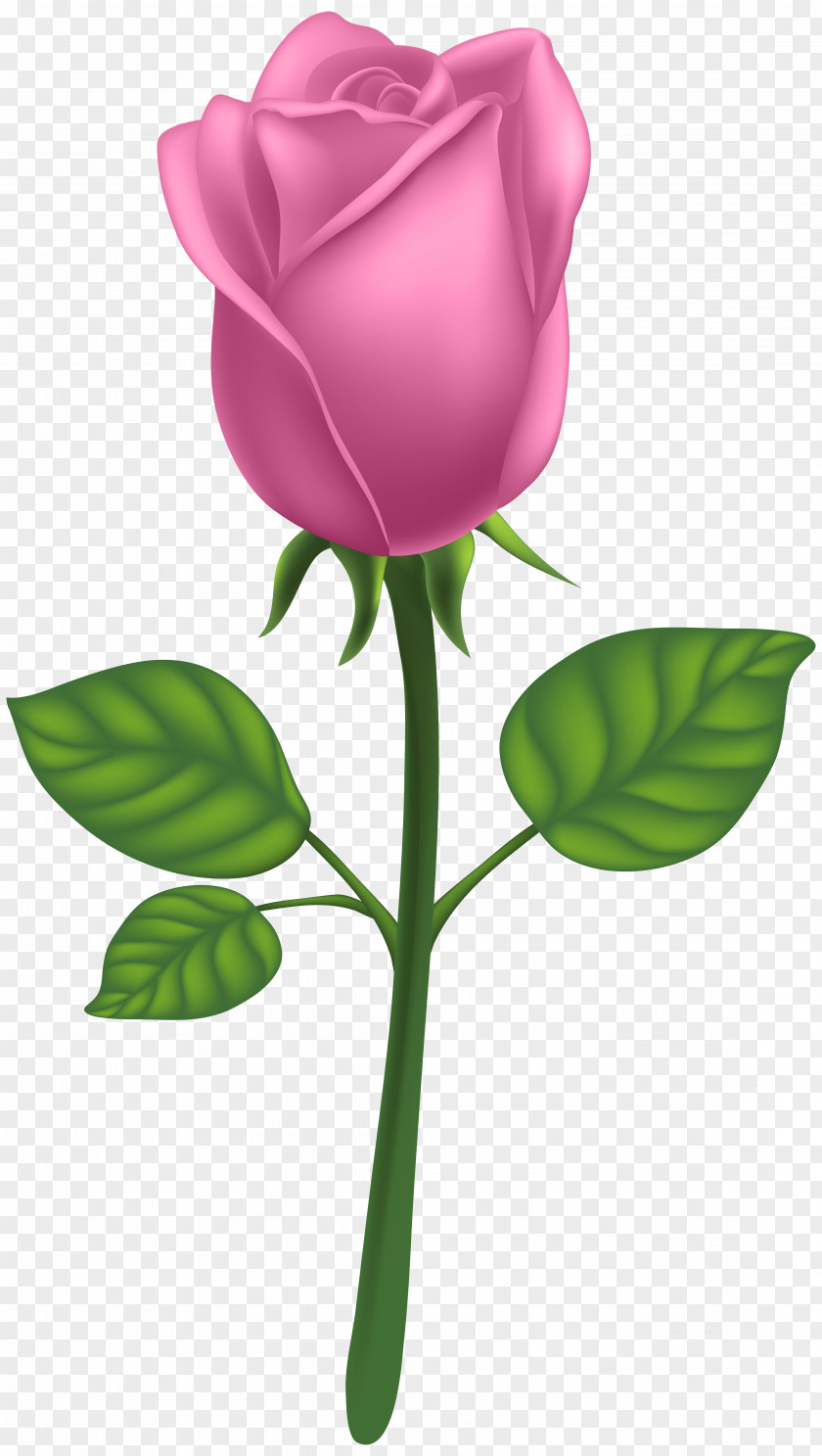 Pink Deco Rose Clip Art Image Raster Graphics PNG