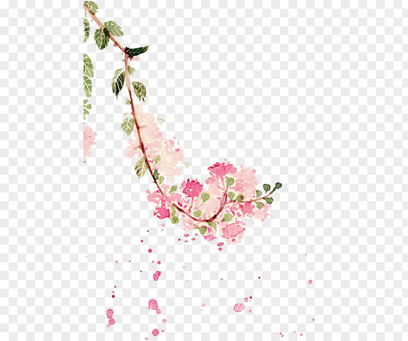 Plant Stem Twig Watercolor Flower Background PNG