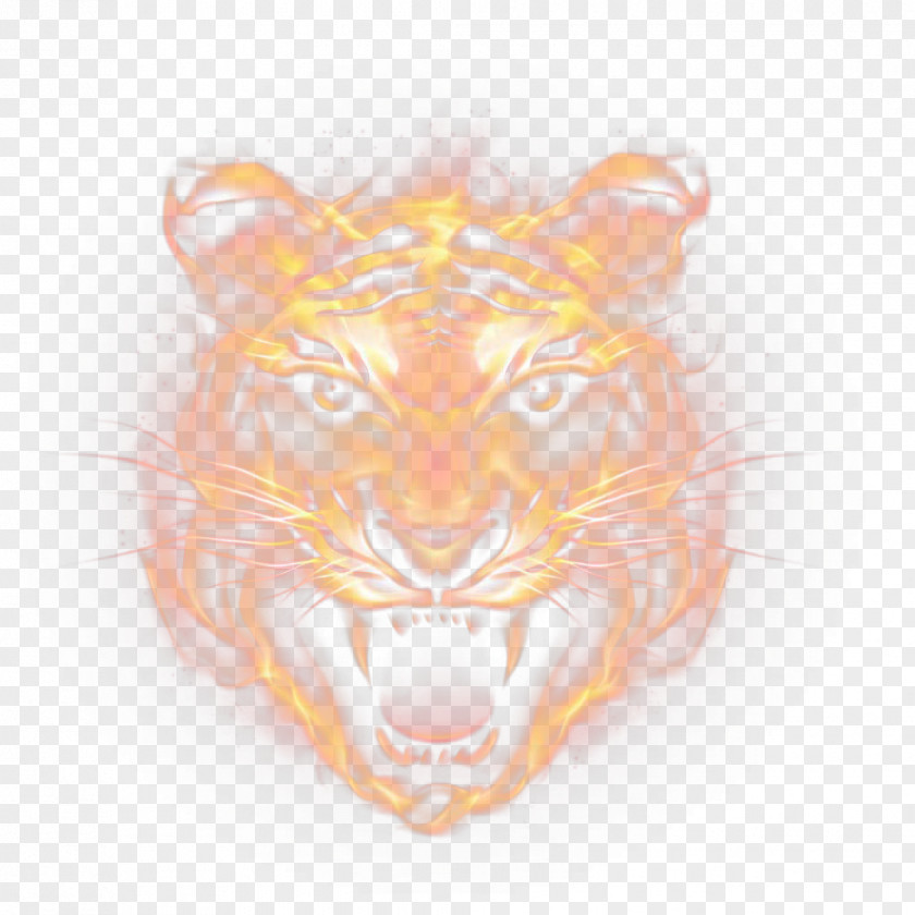 Tiger Euclidean Vector Icon PNG