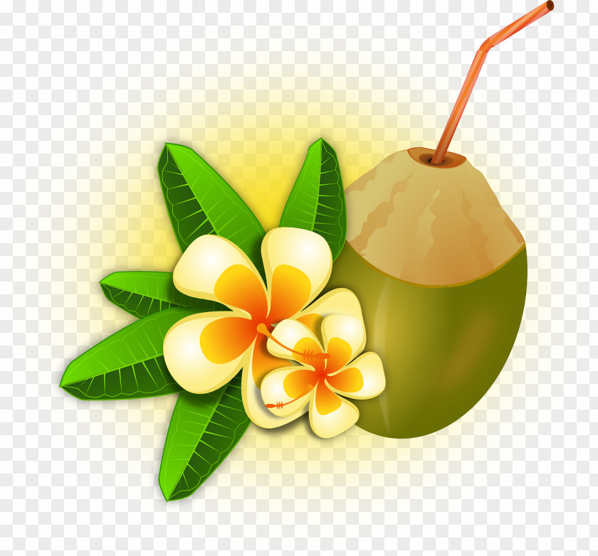 Aloha Cocktail Smoothie Coconut Water Clip Art PNG