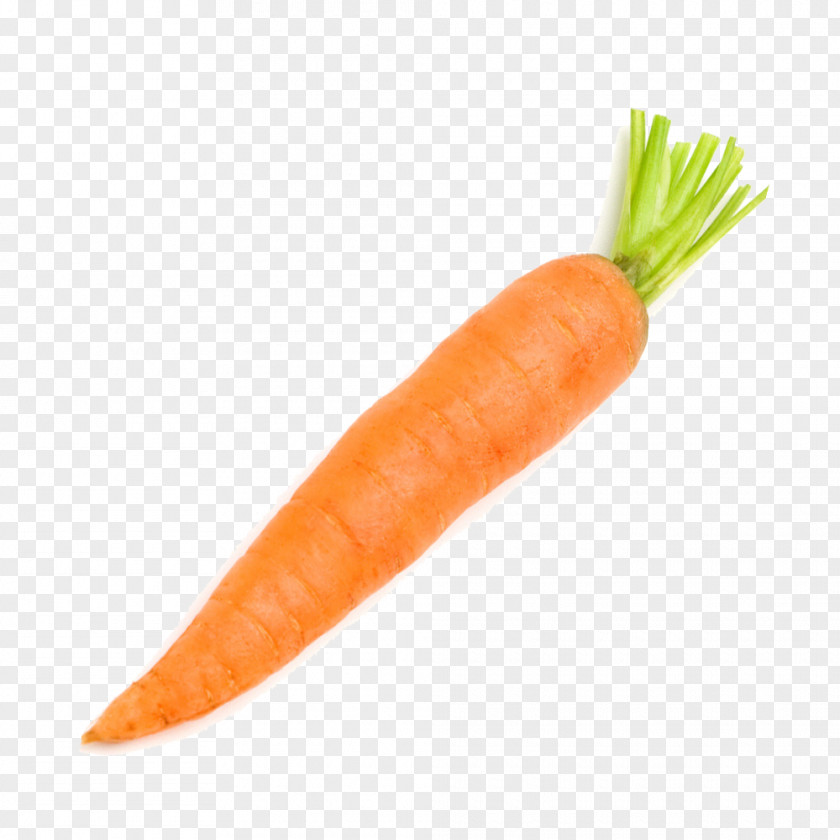 Carrot Vegetable Radish PNG